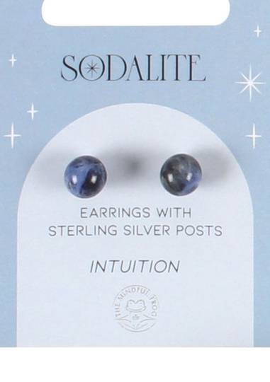 Sterling Silver and Sodalite Crystal Ear Studs image 0